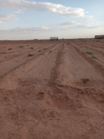 terrain-agricole-vente-biskra-oumache-algerie