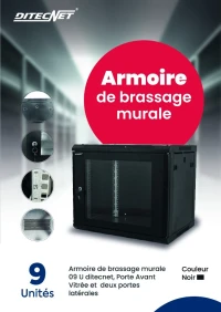 Armoire de brassage murale  9U Ditecnet 