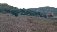 أرض-بيع-بجاية-القصر-الجزائر