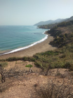 terrain-vente-tipaza-larhat-algerie