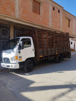 camion-hyundai-hd-65-2019-bouzeghaia-chlef-algerie