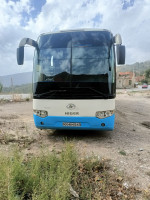 bus-v91-higer-2015-mila-algerie