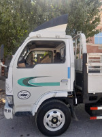 camion-يوجين-14-2008-guelta-zerka-setif-algerie