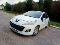 voitures-peugeot-207-plus-2013-telerghma-mila-algerie