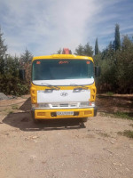 camion-hd-120-hyundai-2000-ain-roua-setif-algerie