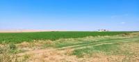 terrain-agricole-vente-djelfa-birine-algerie