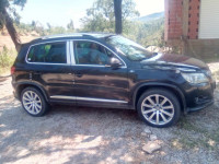 tout-terrain-suv-volkswagen-tiguan-2011-skikda-algerie