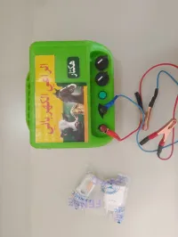 الراعي الكهربائي السراح 