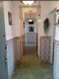 شقة-كراء-3-غرف-الجزائر-زرالدة
