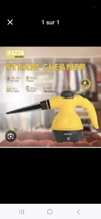 Netoyeur a vapeur