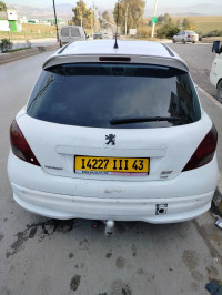 voitures-peugeot-207-2011-oued-endja-mila-algerie