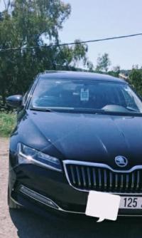 سيارات-skoda-superb-2025-elegante-قالمة-الجزائر