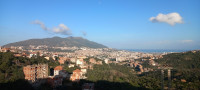 carcasse-vente-bejaia-algerie