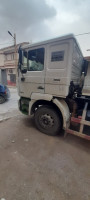 camion-شاكمان-shacman-15-tonnes-2014-chemora-batna-algerie