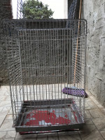 accessoire-pour-animaux-cage-a-perroquet-el-biar-alger-algerie