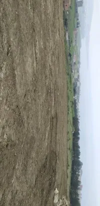 Vente Terrain Boumerdes Afir