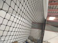 Filet anti-pigeons 10mX10m