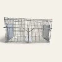 Cage Trappe Chat