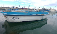 barques-barque-480-m-avec-moteur-suzuki-15-ch-gouraya-tipaza-algerie