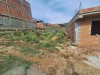 Vente Terrain Blida Meftah