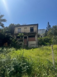 أرض-بيع-الجزائر-وسط