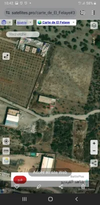 Vente Terrain Béjaïa Sidi aich