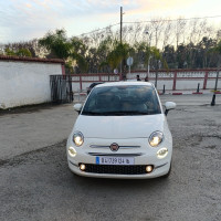 voitures-fiat-500-2024-bachdjerrah-alger-algerie