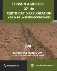 Vente Terrain Agricole Djelfa Birine