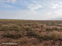Vente Terrain Agricole Djelfa Guernini thumbnail 5