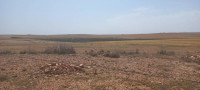 terrain-agricole-vente-djelfa-algerie