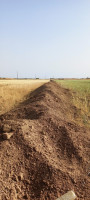 terrain-agricole-vente-djelfa-algerie