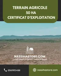 Vente Terrain Agricole Djelfa Bouira lahdab