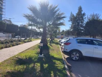 Location Villa Alger Dely brahim