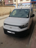 commerciale-fiat-professional-doblo-2024-batna-algerie