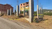 Vente Terrain Boumerdès El kharrouba