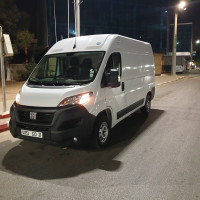 utilitaire-fiat-ducato-2023-professionnel-algerie