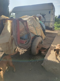 equipement-agricole-citerne-de-medicaments-ouled-el-djemaa-relizane-algerie