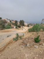 terrain-vente-tipaza-fouka-algerie