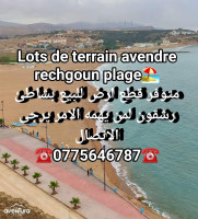 terrain-vente-ain-temouchent-beni-saf-algerie