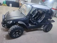 800i Buggy Lantana 2011