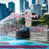 voyage-organise-singapour-kuala-lumpur-ete-2024-baba-hassen-alger-algerie