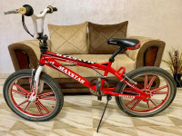 velos-velo-maxstar-blida-algerie