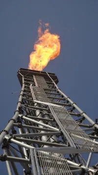 Système de torche surélevée