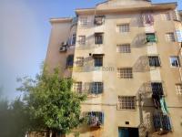 appartement-location-f3-tipaza-kolea-algerie