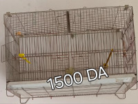 accessoire-pour-animaux-vends-des-cages-couplage-oiseaux-birkhadem-alger-algerie