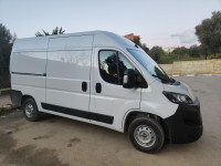 voitures-fiat-ducato-2024-l2h2-skikda-algerie