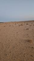 terrain-agricole-vente-laghouat-mekhareg-algerie