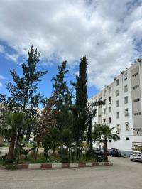Location Appartement F2 Blida Blida thumbnail 2