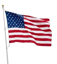TRAITEMENT DEMANDE VISA USA 