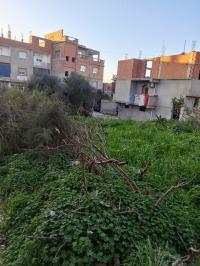 أرض-بيع-الجزائر-الخرايسية